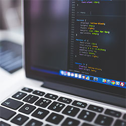 苏红网：把品质生活装进日常