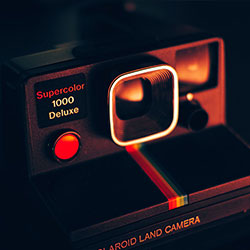 1995版激战丛林意大利版本：经典再现的热血旅程