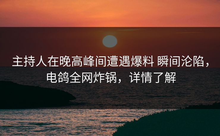 主持人在晚高峰间遭遇爆料 瞬间沦陷，电鸽全网炸锅，详情了解